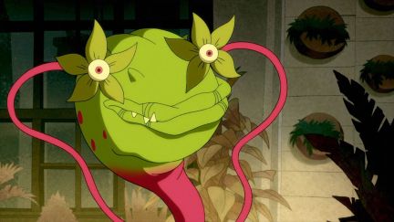 Frank the plant from Harley quinn: The Animated Series.