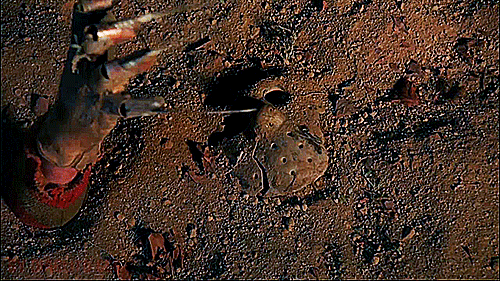 Freddy pulling the glove to hell in Jason Goes to Hell: The Final Friday