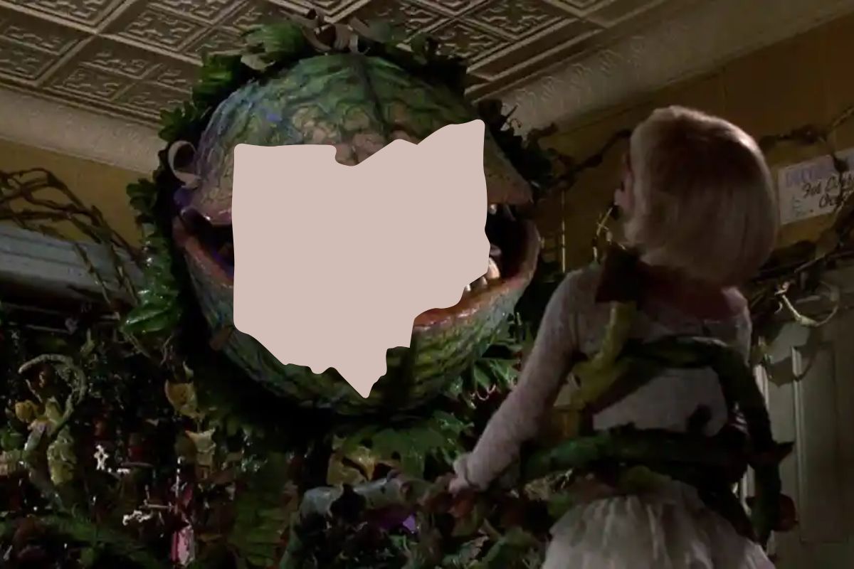 Aubrey II from 'Little Shop of Horrors' but instead of the face it's a silhouette of Ohio. Image: Warner Bros. Discovery, Alyssa Shotwell