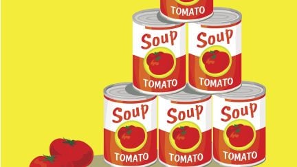 Illustration of a stack of tomato soup cans, with tomatoes scattered next to it.