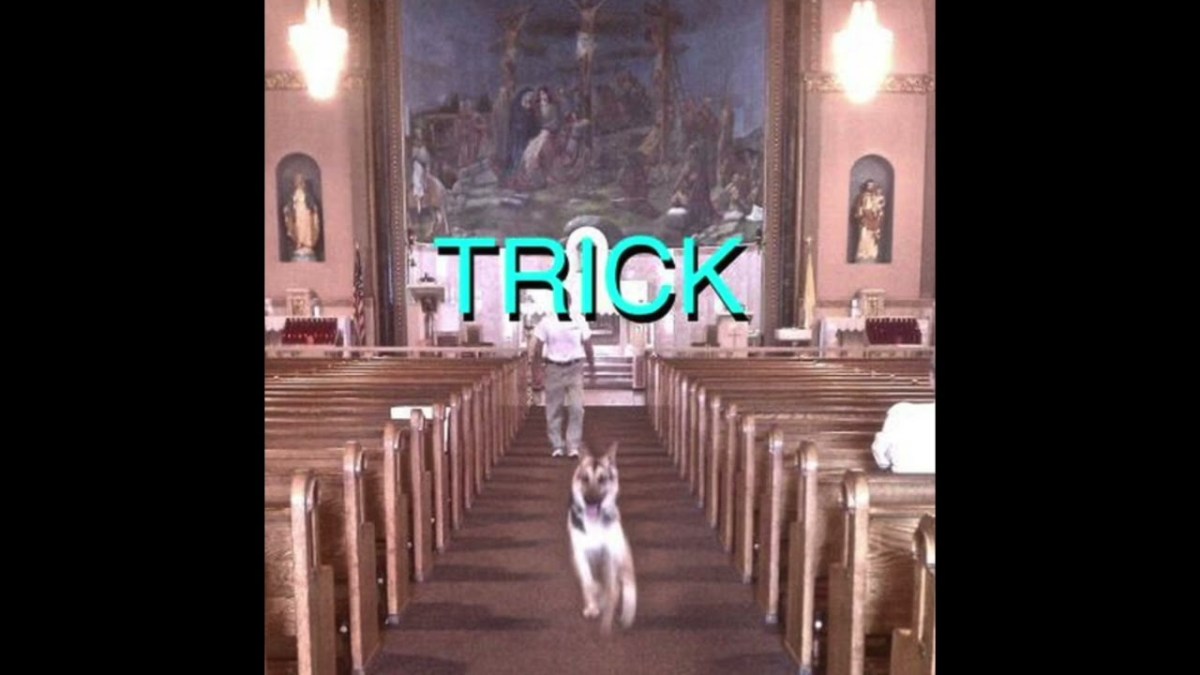 Album art depicting a stray dog running into a church.