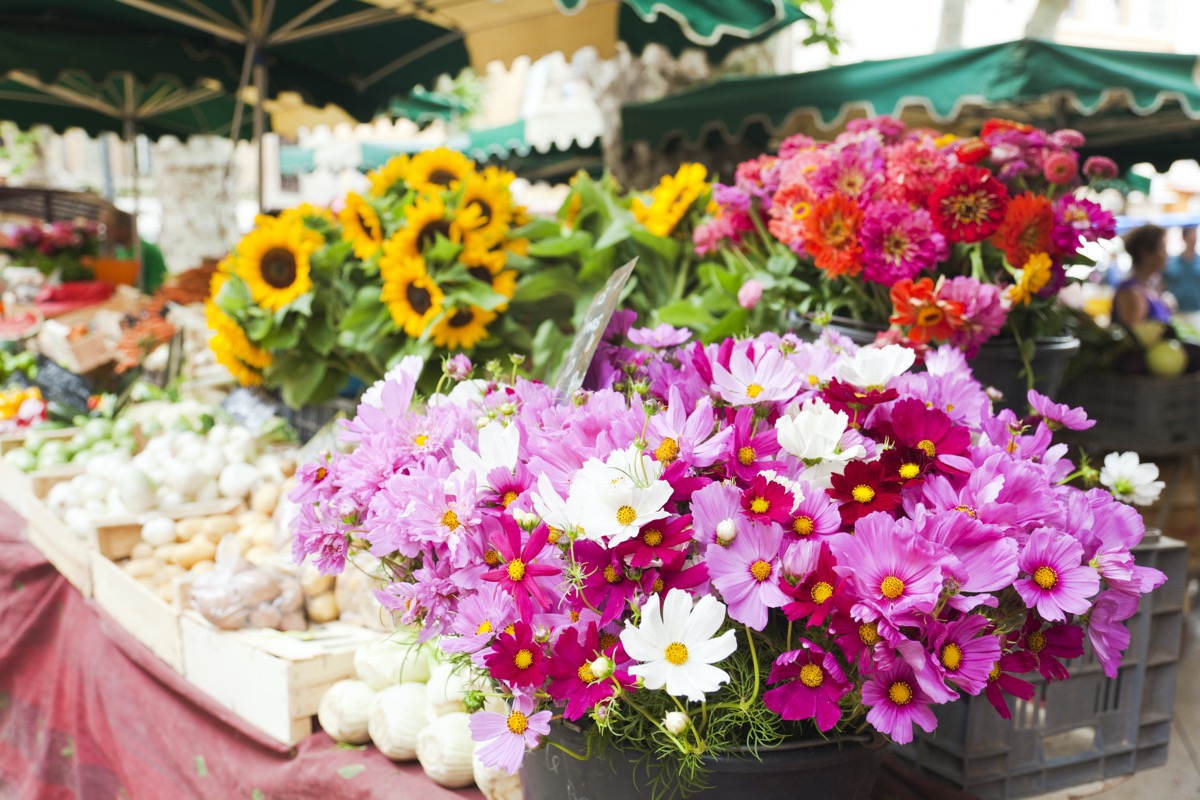 Seasonal flowers on the Provencal market 