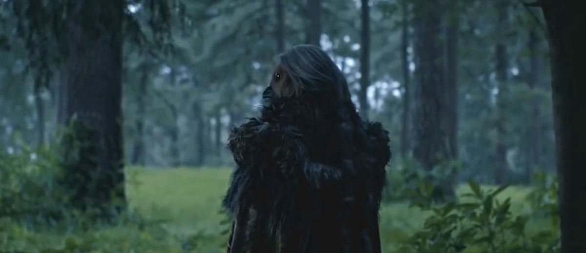 A dark figure with an owl-like face looks over their shoulder at the viewer in the woods.