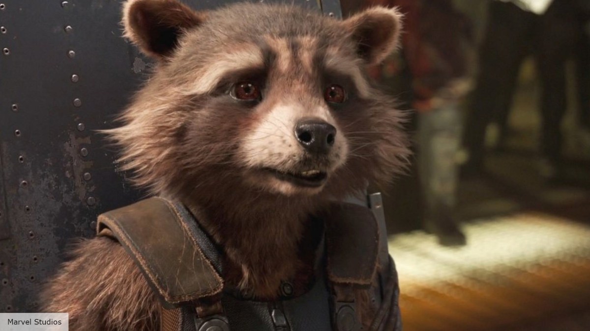 Rocket Raccoon looks pensive.