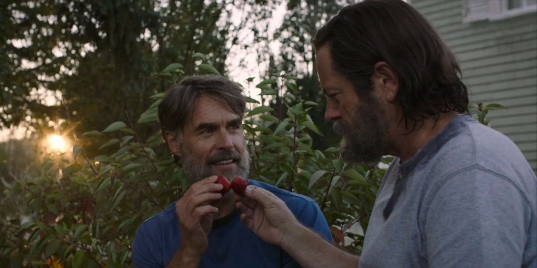 Bill and Frank pick strawberries in The Last of Us