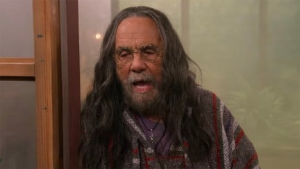 Tommy Chong as Leo in 'That 90s Show'