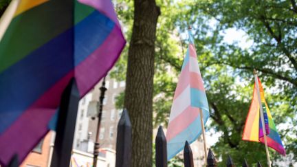 A Transgender Flag in between two Pride Flags outside with trees in the background.