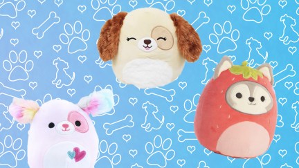 A collection of dog Squishmallows