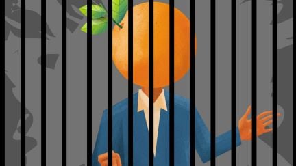 Orange man behind bars campaigning.