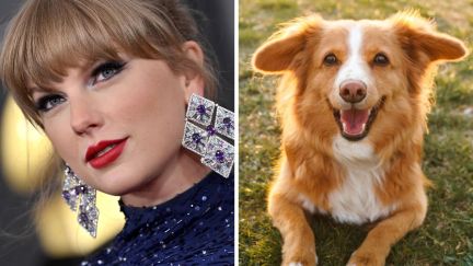 Taylor Swift smiles coyly while a dog grins widely
