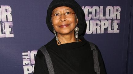 NEW YORK, NY - DECEMBER 10: Alice Walker attends the Broadway Opening Night Performance of 'The Color Purple' at the Bernard B. Jacobs Theatre on December 10, 2015 in New York City.