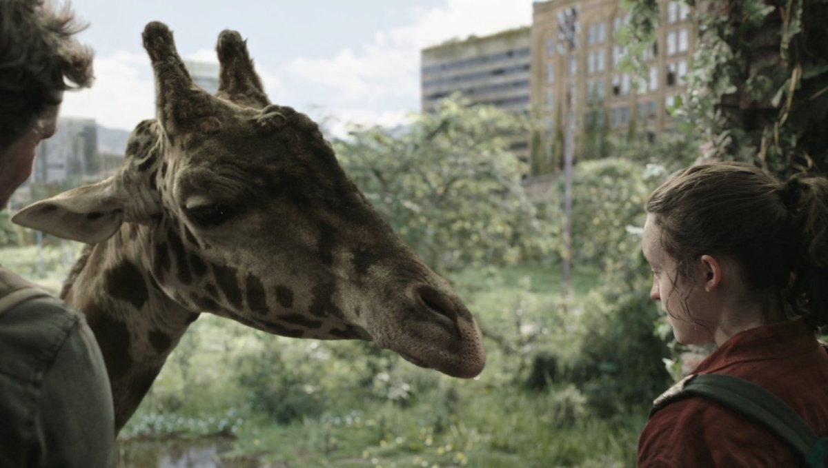 Ellie William (Bella Ramsey) face to face with a giraffe