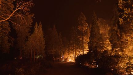 Trees glow orange against a black sky during a wildfire.