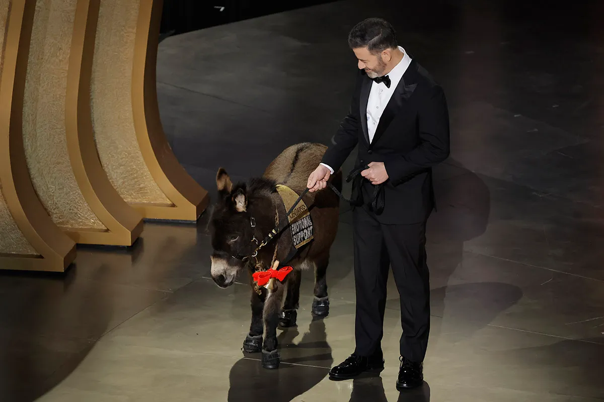 Imposter Jenny the Donkey from the Banshees of Inisherin at the Oscars with Jimmy Kimmel