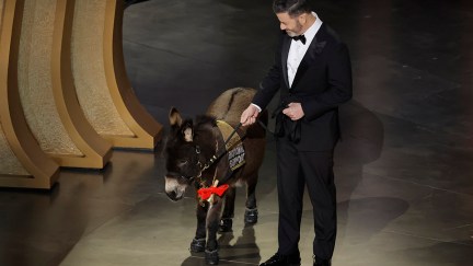 Imposter Jenny the Donkey from the Banshees of Inisherin at the Oscars with Jimmy Kimmel