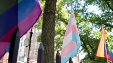 The view of a Transgender Flag in between two Pride Flags at a park.