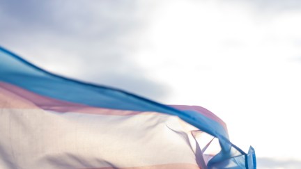 A pink, white, and blue transgender flag flying with sky behind it.