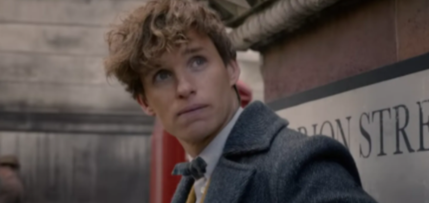 Newt Scamander in 'Fantastic Beasts and Where to Find Them'