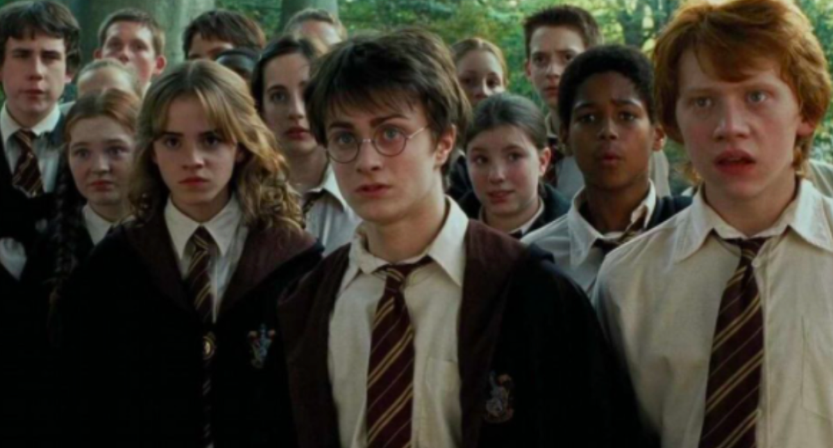 Harry, Ron, Hermione, and their classmates stand in a group