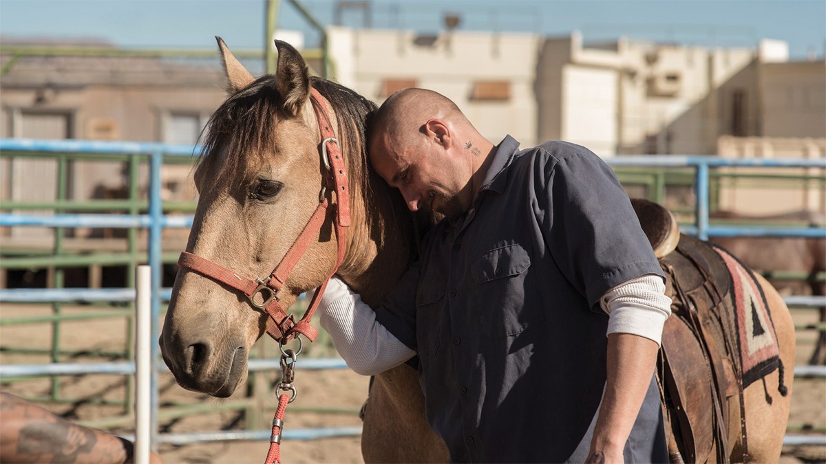 Roman shares an affectionate moment with his mustang, Marquis.