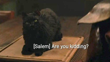 The cat Salem in The Chilling Adventures of Sabrina. The closed captioning reads 
