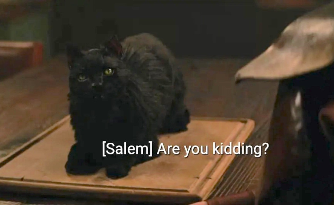 The cat Salem in The Chilling Adventures of Sabrina. The closed captioning reads "Are you kidding me?"