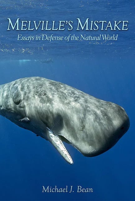 Melville’s Mistake: Essays in Defense of the Natural World By Michael J. Bean