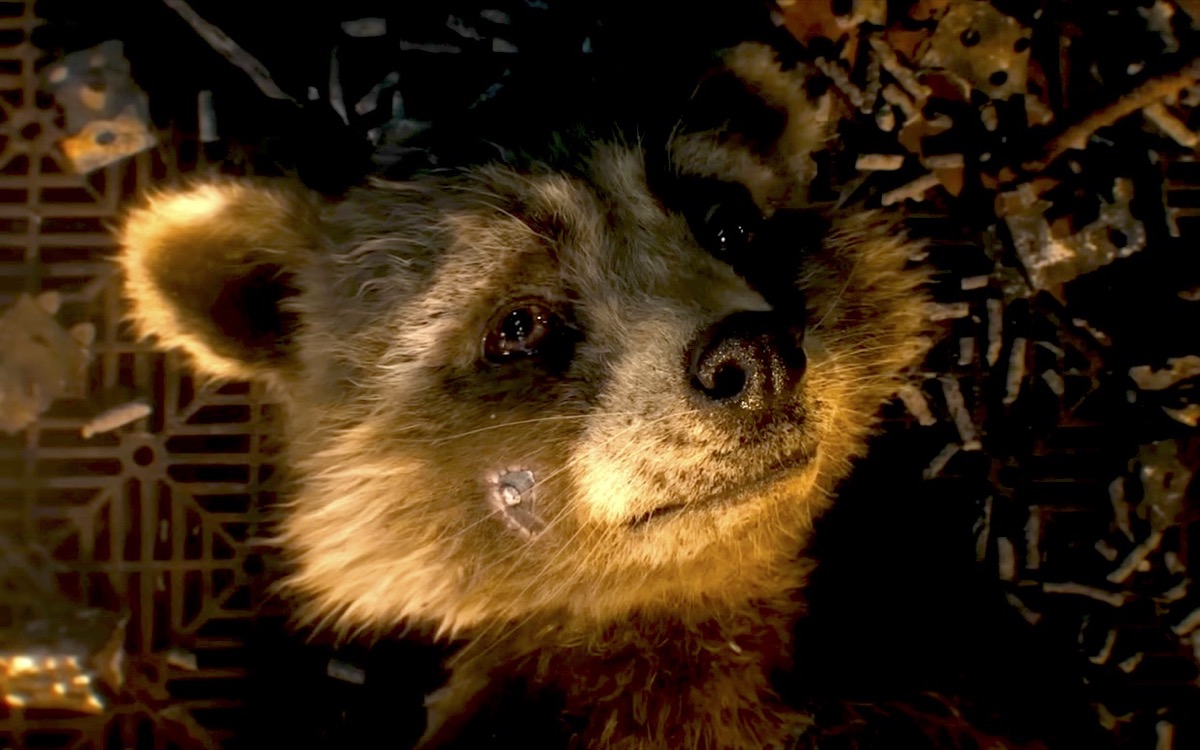 Young Rocket Raccoon looking sad in Marvel's Guardians of the Galaxy Vol. 3.