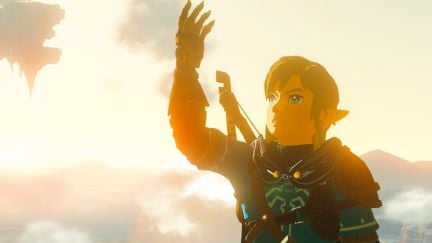 Link from Tears of the Kingdom