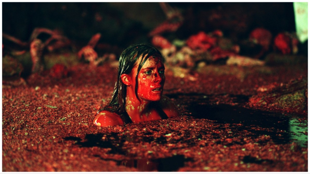 Shauna McDonald in 'The Descent'