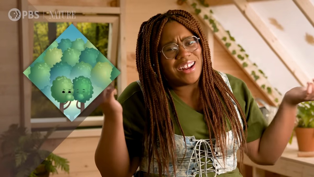 Alexis Nikole Nelson introducing people to Crash Course Botany.