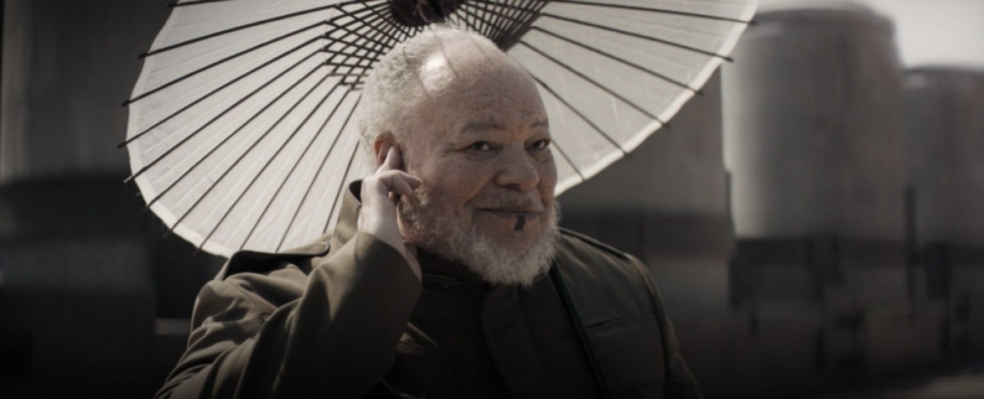 Thufir Hawat as played by Stephen McKinley Henderson in Dune