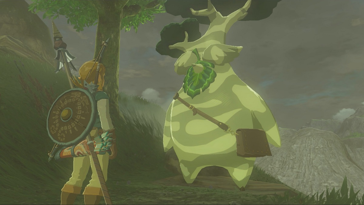 Screenshot of Link and Hestu from 'The Legend of Zelda: Breath of the Wild." Link, a Hylian, is seen from the back and has blondish hair, wears green clothing and brown boots, and carries a shield, a spear, and a quiver full of arrows on his back. He's looking at Hestu, a Korok, is a chubby being with a dark and light green camouflage-printed body and a tree for a head. He has a large leaf for a face and a brown messenger bag across his body. They are standing on grass overlooking a valley. It's dark.