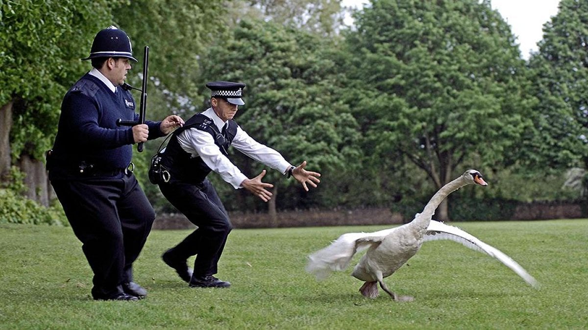 Nick Frost and Simon Pegg in Hot Fuzz (Universal Pictures)