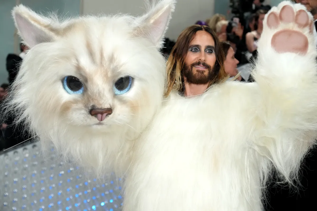 Jared Leto, dressed in an elaborate cat costume