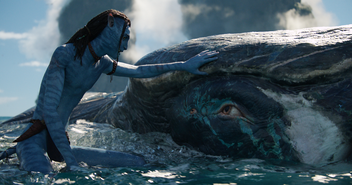 Lo'ak the Na'vi and Payakan the tulkun in 'Avatar: The Way of Water'