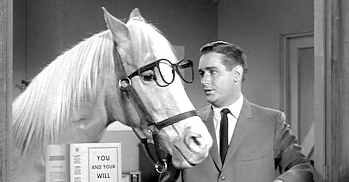 Mr. Ed ponders literature in a truly scholarly fashion.