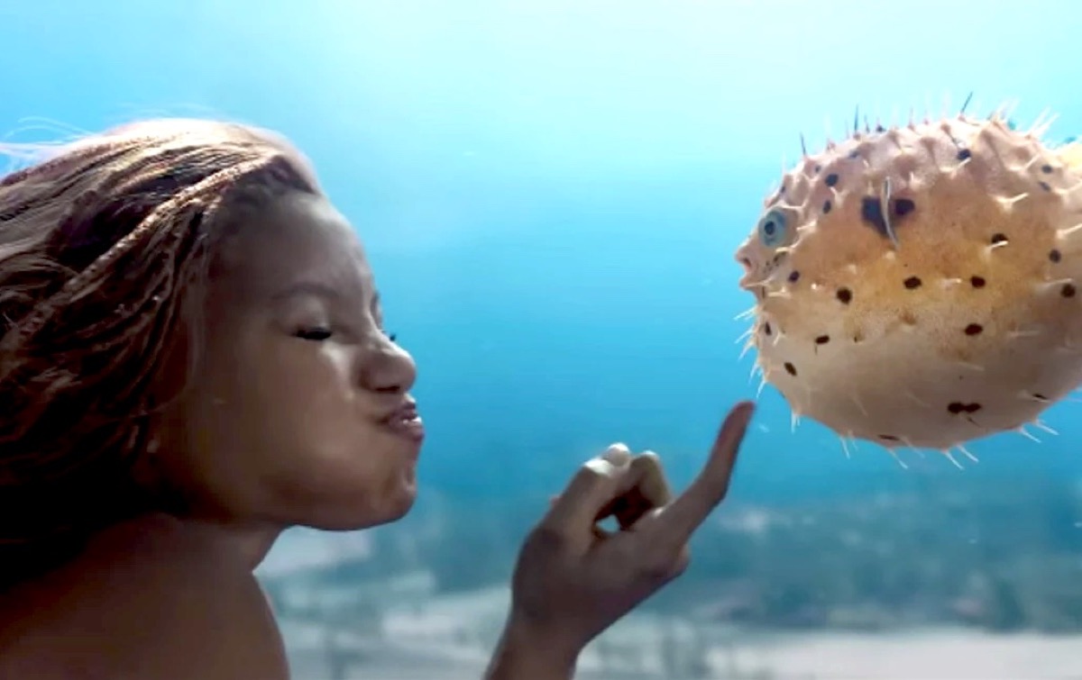 Ariel puffs up her cheeks while petting a puffer fish in The Little Mermaid live-action remake.