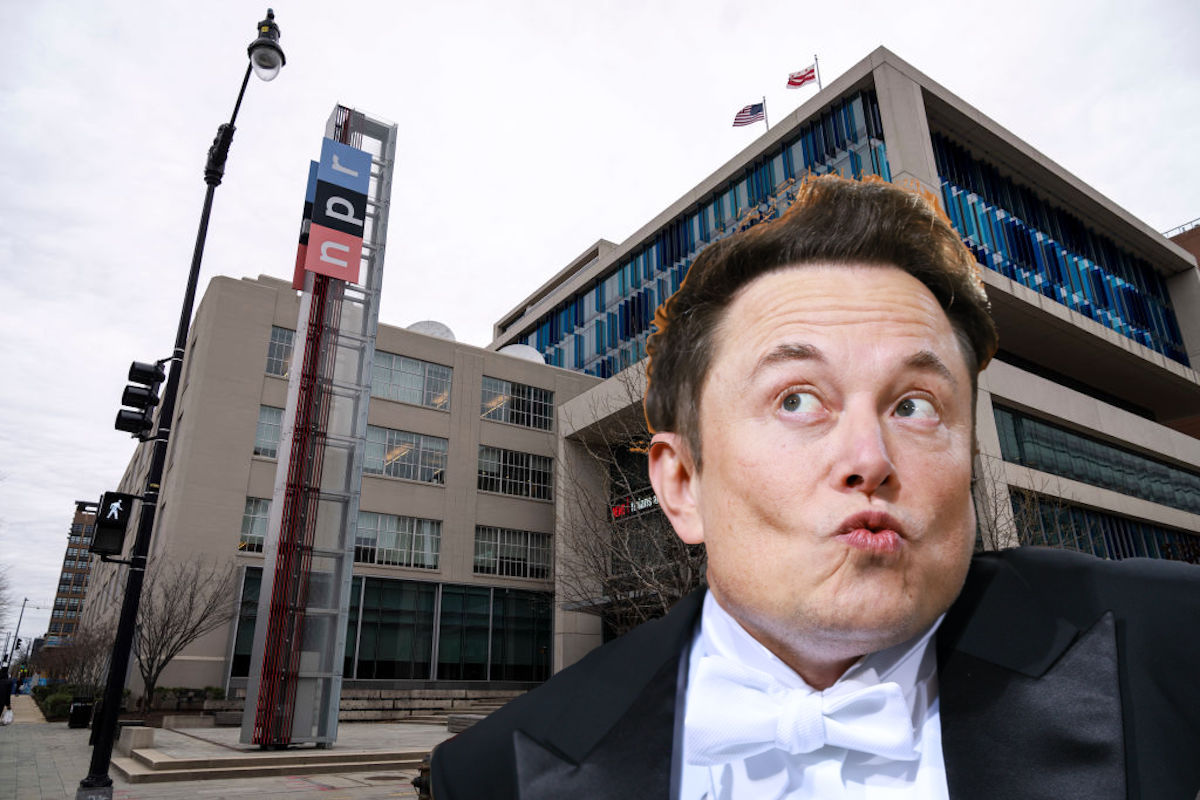 Elon Musk's face, making a weird mugging expression, superimposed over a shot of NPR's offices.