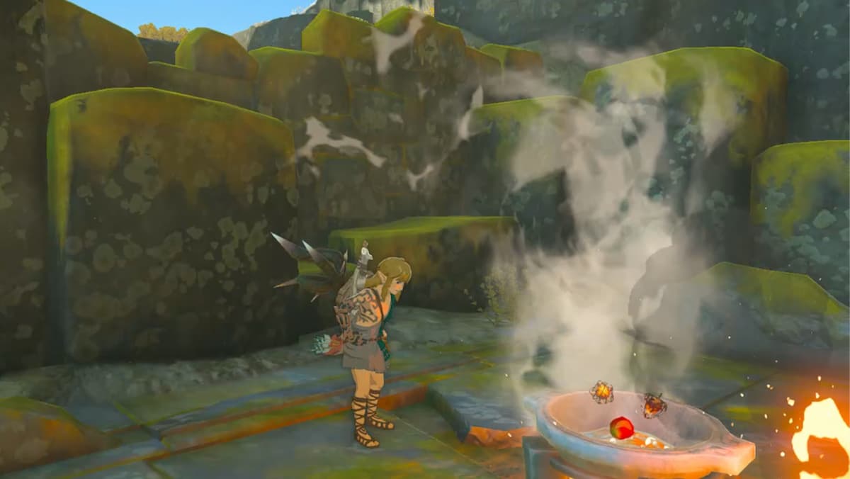 Link cooking in Tears of the Kingdom