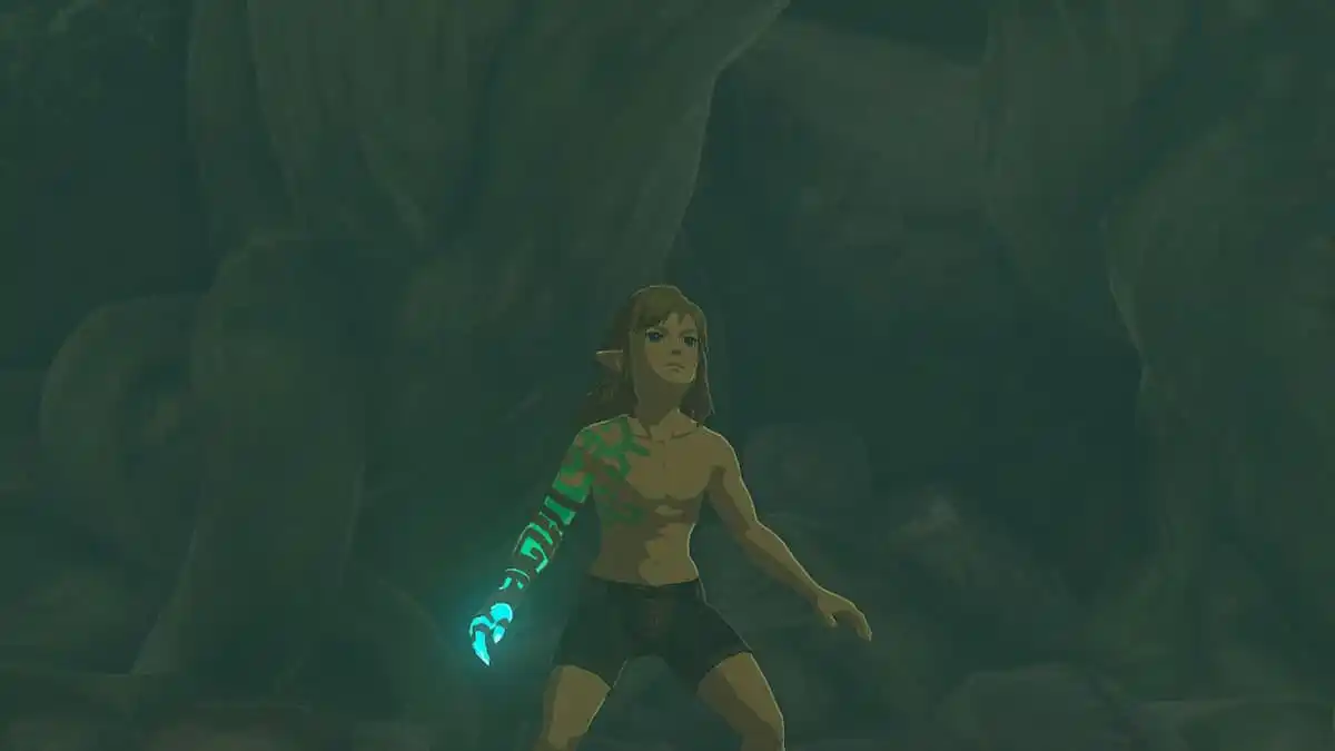 https://www.themarysue.com/wp-content/uploads/2023/05/link-in-his-boxers-legend-of-zelda-tears-of-the-kingdom.jpg