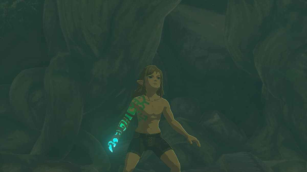 Tears Of The Kingdom s Shirtless Link When Does Link Get A Shirt In tears-of-the-kingdom-s-shirtless-link-when-does-link-get-a-shirt-in