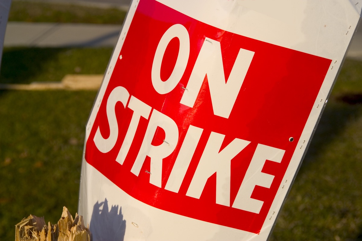 On Strike placard sits in garbage pail post strike. Narrow depth with soft background. Shot in sun setting light.