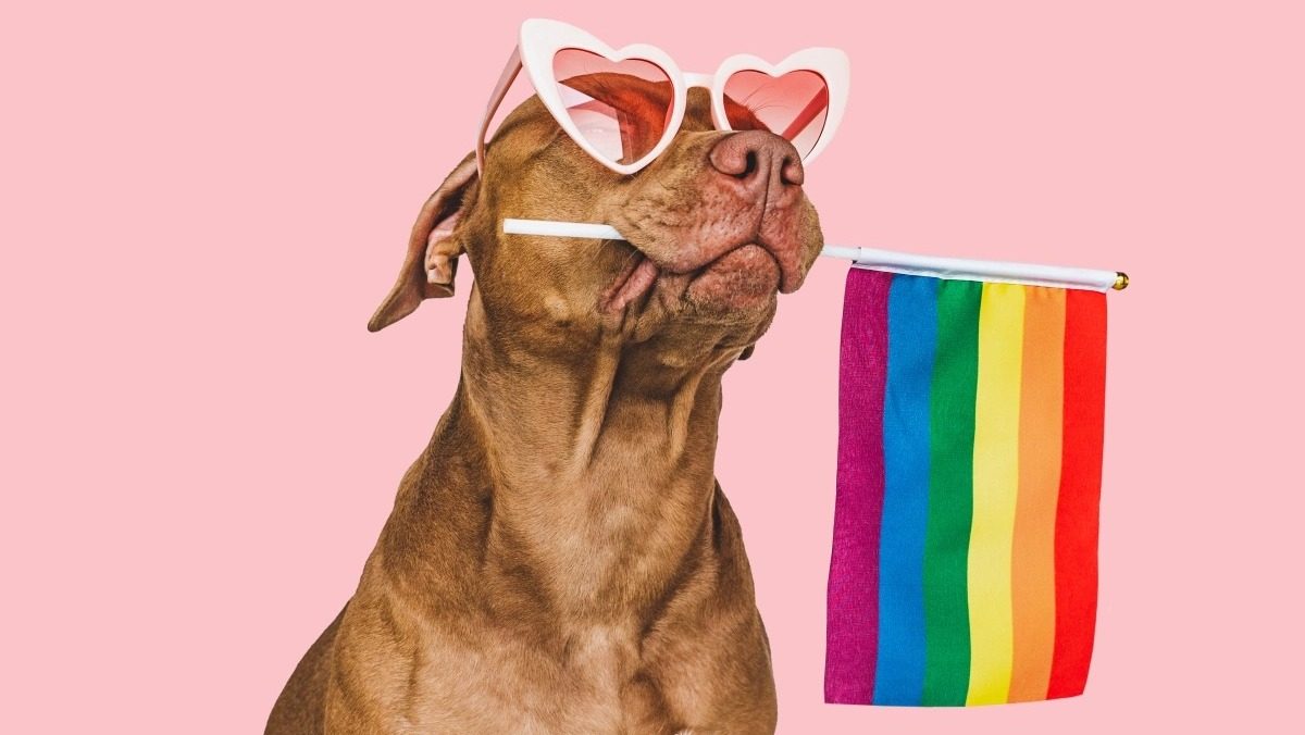 10 Fun (and Powerful, and Essential) Facts for Pride Month 10 Fun (and Powerful, and Essential) Facts for Pride Month