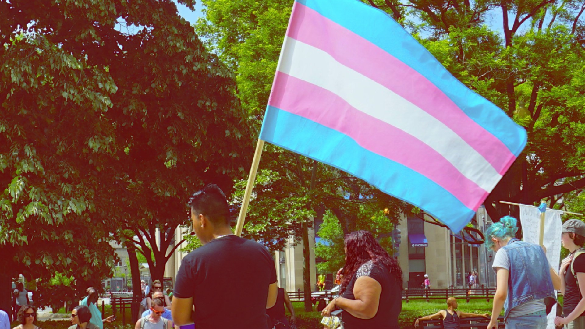 Protester prepares to march with a trans flag.