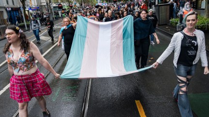 Transgender rights protesters march with the trans flag.