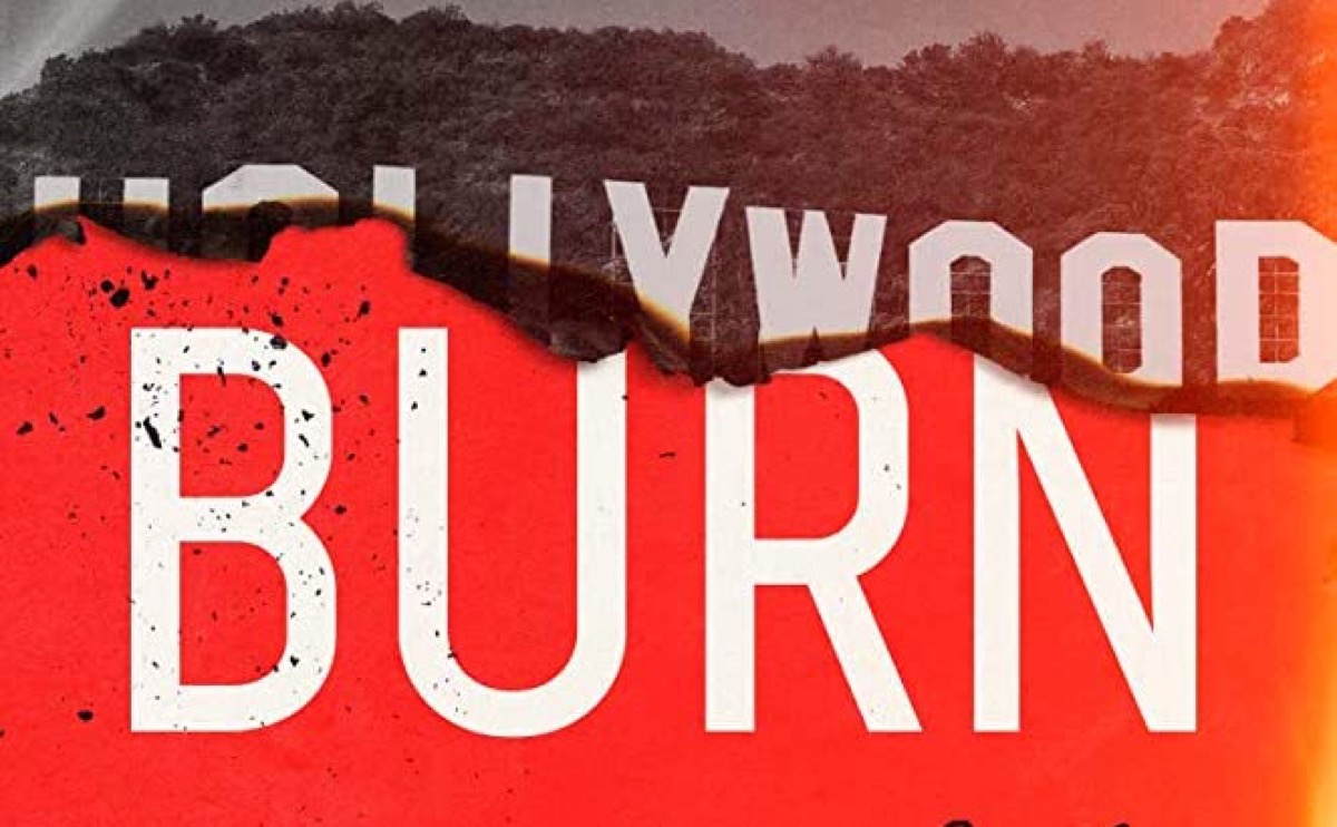 Burn It Down book cover.