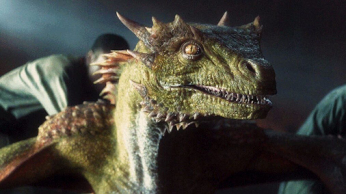 All Dragon Names And Owners In House Of The Dragon The Mary Sue All Dragon Names And Owners In House Of The Dragon The Mary Sue