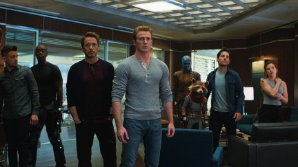 The Avengers that survived the Blip in Avengers: Endgame