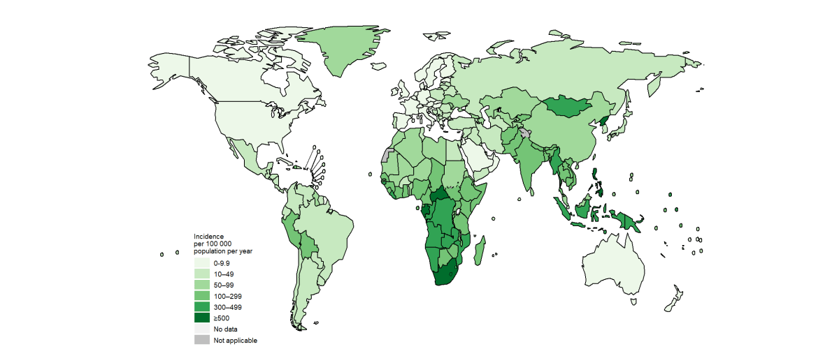 2021 rates of Tuberculosis around the world.